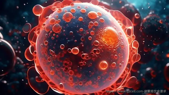 卵巢癌饮食要求