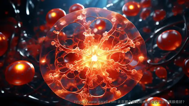 北京哪个医院用NK免疫疗法治疗胰腺癌好？