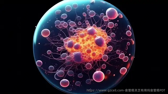 食管癌灵芝有用吗食管癌PDT