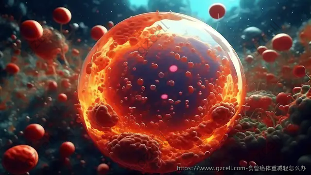 食管癌体重减轻怎么办