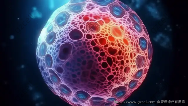 食管癌蜂疗有用吗