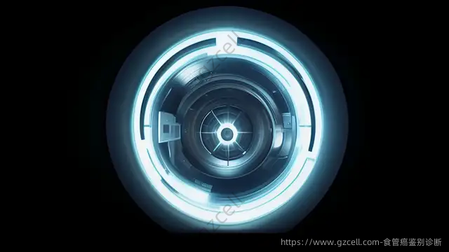 食管癌鉴别诊断