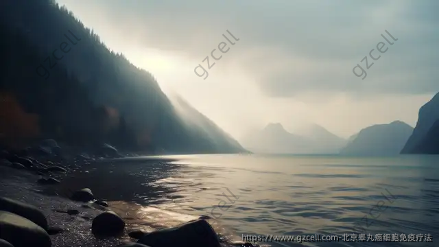 北京睾丸癌细胞免疫疗法