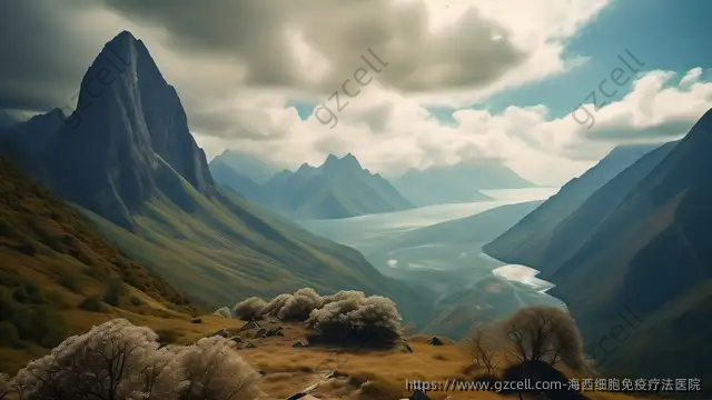 海西细胞免疫疗法医院