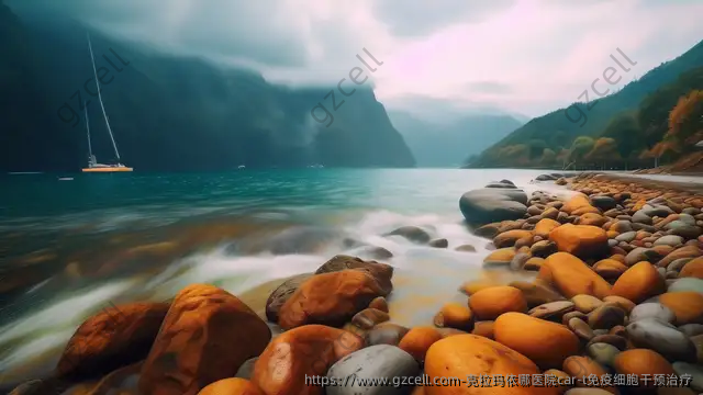 克拉玛依哪医院car-t免疫细胞干预治疗