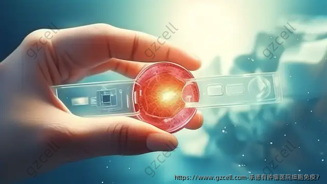 承德有肿瘤医院细胞免疫?