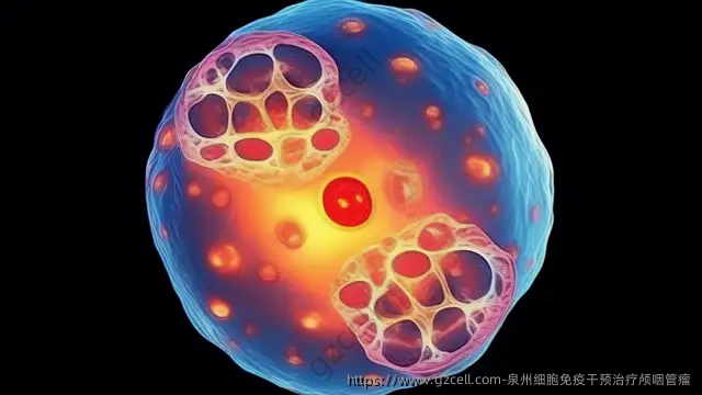 泉州细胞免疫干预治疗颅咽管瘤