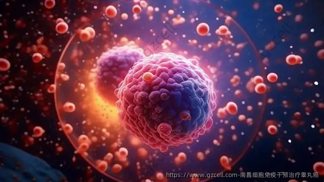 南昌细胞免疫干预治疗睾丸癌